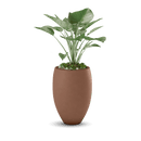 Brandy Planter