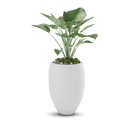 Brandy Planter