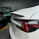Model 3 Ludicrous Carbon Fiber Spoiler