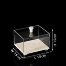 Acrylic Display Case on Travertine Base by GobekUsa for Collectibles, Figurines, Desserts