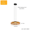 GobekUsa Glass Plate Ceiling Pendant Lights LED Fixture