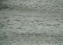 Modern Beige and Charcoal Solid Shaded Hand Tufted Natural Wool Area Rug