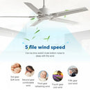 GobekUsa 52/56 Inch 35W DC Motor Modern Ceiling Fan with Remote Control