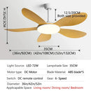 GobekUsa Black DC Ceiling Fan Light Strong Wind Indoor Electric Fan 2023