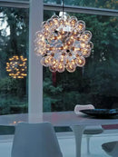GobekUsa Glass Dandelion LED Chandelier in Black Gold For Modern Spaces