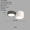 GobekUsa Cylinder LED Ceiling Lamp for Living Room and Bedroom Decor