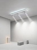 GobekUsa LED Ceiling Lamp Spotlights for Living Room Bedroom Dining Indoor Lighting