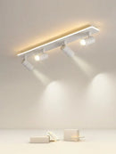 GobekUsa LED Ceiling Lamp Spotlights for Living Room Bedroom Dining Indoor Lighting
