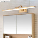 GobekUsa Modern Brass Linear Vanity LED Light with Swing Arm - Acrylic Wall Mount Fixture