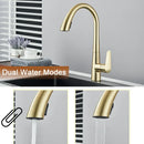 GobekUsa Brushed Gold Gourmet Kitchen Faucet with Flexible Pull Out Mixer Tap