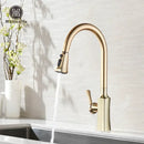 GobekUsa Brushed Gold Pull Out Kitchen Faucet with 2 Function Head and Spring Design