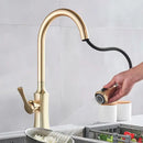 GobekUsa Brushed Gold Pull Out Kitchen Faucet with 2 Function Head and Spring Design
