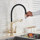 GobekUsa Brushed Gold Swivel Kitchen Faucet with Purification Function