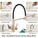 GobekUsa Brushed Gold Swivel Kitchen Faucet with Purification Function