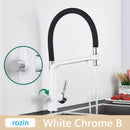 GobekUsa Brushed Gold Swivel Kitchen Faucet with Purification Function