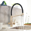 GobekUsa Brushed Gold Swivel Kitchen Faucet with Purification Function