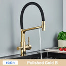 GobekUsa Brushed Gold Swivel Kitchen Faucet with Purification Function