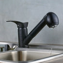GobekUsa Brushed Nickel Kitchen Faucet with Sprayer Steam Spout