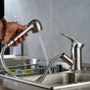 GobekUsa Brushed Nickel Kitchen Faucet with Sprayer Steam Spout