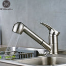 GobekUsa Brushed Nickel Kitchen Faucet with Sprayer Steam Spout