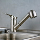 GobekUsa Brushed Nickel Kitchen Faucet with Sprayer Steam Spout
