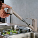 GobekUsa Brushed Nickel Kitchen Faucet with Sprayer Steam Spout