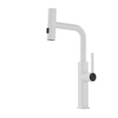 GobekUsa Digital Display Single Lever Brass Kitchen Faucet - Hot Cold Pull Out Mixer