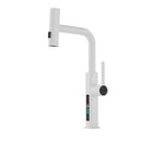 GobekUsa Digital Display Single Lever Brass Kitchen Faucet - Hot Cold Pull Out Mixer