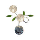 GobekUsa Green Crystal Leaf Wall Mount Lamp with Class Glass Shade - Bedside Wall Lighting Solution in Chrome
