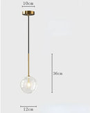 Modern Clear Glass Pendant Light With Gold Finish