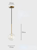 Modern Clear Glass Pendant Light With Gold Finish