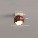 GobekUsa Glass Iron LED Ceiling Lamp Light Fixtures Modern Home Decoration