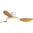 GobekUsa LED Ceiling Fan with Remote Control, Modern Design, Low Energy Consumption