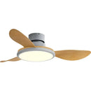GobekUsa LED Ceiling Fan with Remote Control, Modern Design, Low Energy Consumption