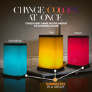 Modern Design Friendship Lamp – Sleek Long-Distance Wi-Fi Touch Lamp | Stay Connected in Style by Friendship Lamps | Powered by Filimin