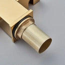 GobekUsa Dual Outlet Gold Kitchen Faucet for Purified Water Hot & Cold Basin Sink
