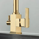 GobekUsa Dual Outlet Gold Kitchen Faucet for Purified Water Hot & Cold Basin Sink