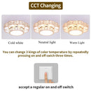 GobekUsa Crystal LED Chandelier Ceiling Lamp Modern Elegant Indoor Decor Luminaire