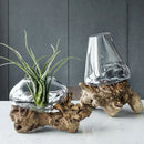 GobekUsa Glass Bonsai Vase Hydroponic Pots Art Wooden Frame Home Decoration