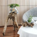 GobekUsa Glass Bonsai Vase Hydroponic Pots Art Wooden Frame Home Decoration