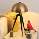 GobekUsa Coyote Tripod Floor Lamp: Modern Stylish Standing Light for Home Decor
