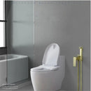 GobekUsa Brushed Gold Toilet Bidet Sprayer Set for Stylish Bathroom Upgrade