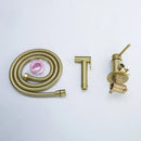GobekUsa Brushed Gold Toilet Bidet Sprayer Set for Stylish Bathroom Upgrade