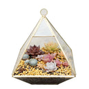 GobekUsa Geometric Glass Vase for Succulents and Flowers