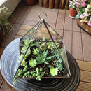 GobekUsa Geometric Glass Vase for Succulents and Flowers