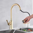 GobekUsa Gold Single Handle Kitchen Faucet: Hot and Cold Water Tap