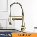 GobekUsa Gold Spring Spout Kitchen Faucet - Single Pull Out Mixer Tap