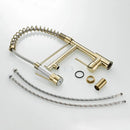 GobekUsa Gold Spring Spout Kitchen Faucet - Single Pull Out Mixer Tap