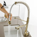 GobekUsa Gold Spring Spout Kitchen Faucet - Single Pull Out Mixer Tap