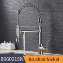 GobekUsa Gold Spring Spout Kitchen Faucet - Single Pull Out Mixer Tap